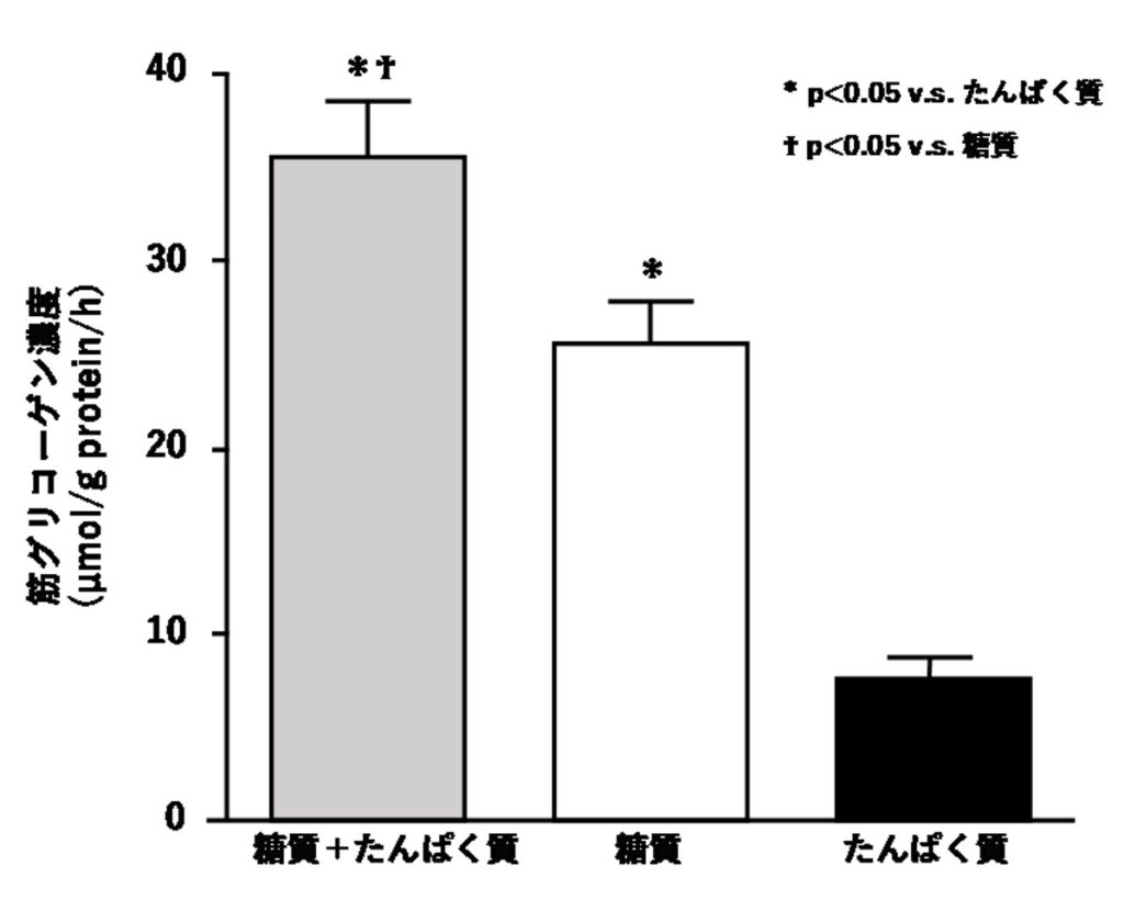 糖質とたんぱく質の同時摂取によるグリコーゲン回復（疲労回復）