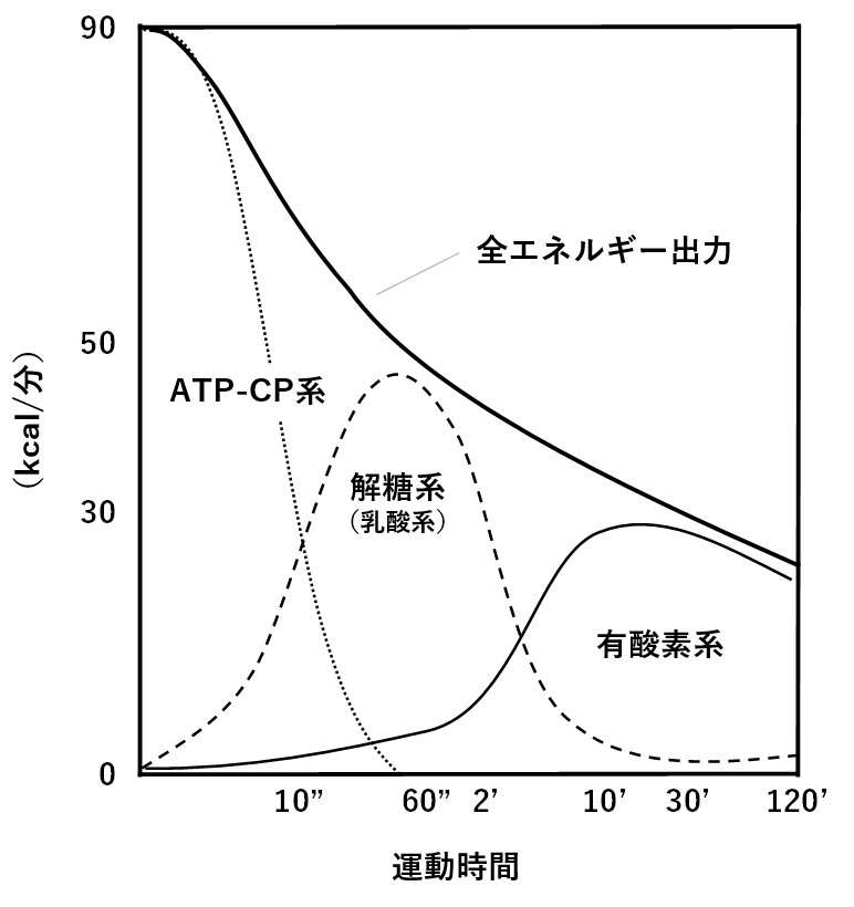 図1.　エネルギー供給系の種類と運動時間の関係