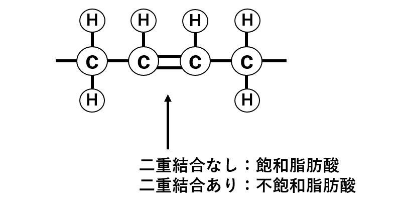 図1.　飽和脂肪酸と不飽和脂肪酸