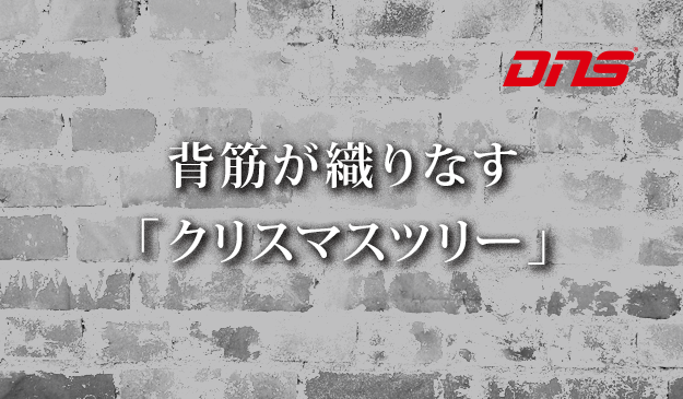 今週の筋肉格言(2016.12.23)