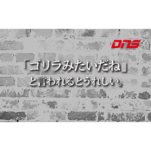 今週の筋肉格言(2016.05.27)