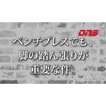 今週の筋肉格言(2017.11.10)