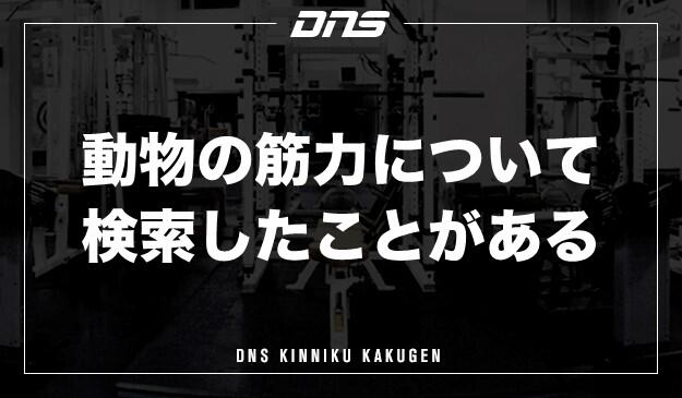 今週の筋肉格言(2020.11.20)