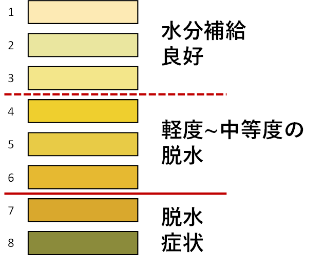 図２．脱水による尿の色の変化