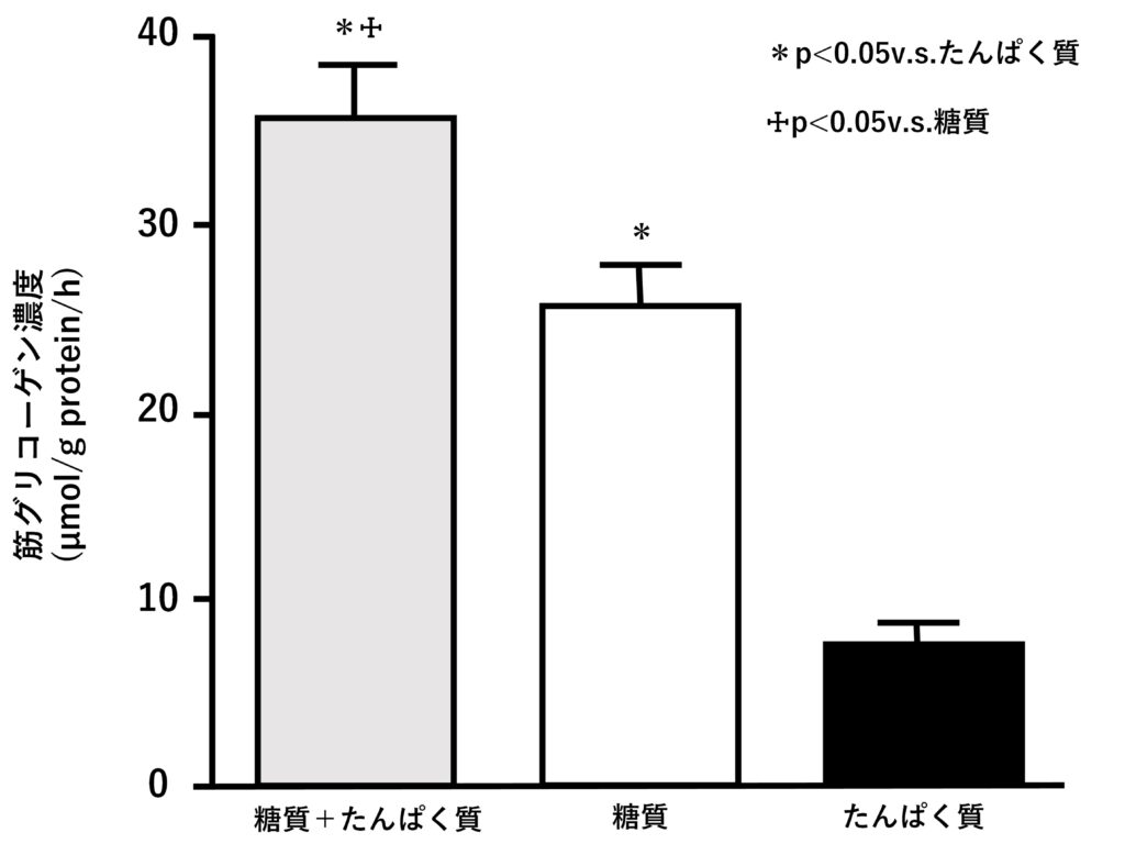 糖質とたんぱく質の共摂取による筋グリコーゲン回復促進効果