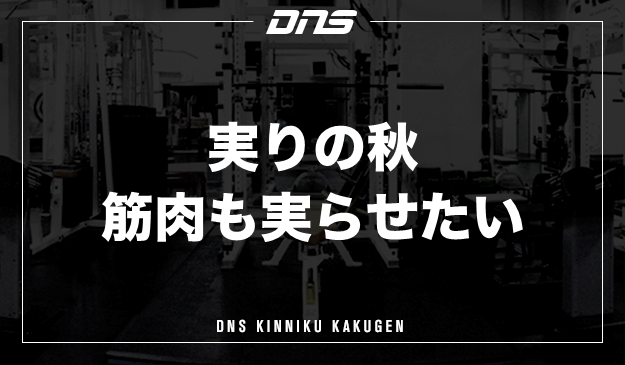 今週の筋肉格言（2021.11.5）