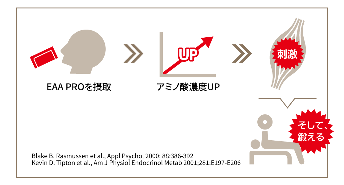 EAA PROは鍛える前に飲む