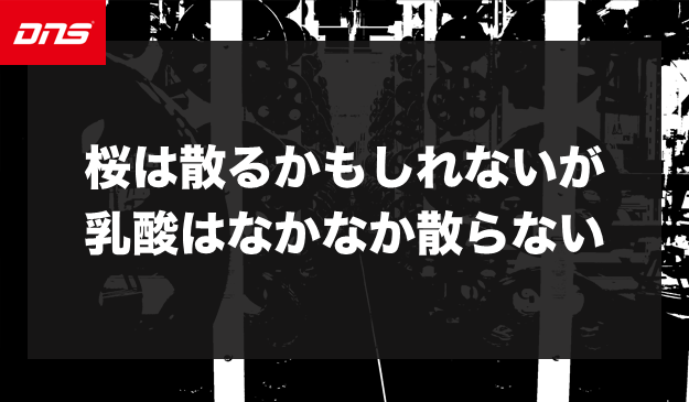 今週の筋肉格言（2023.4.7）