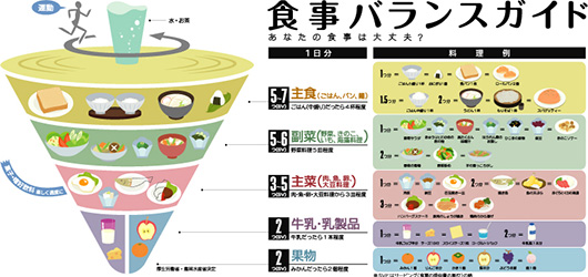 食事バランスガイド