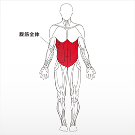 フォーカスする筋肉：腹横筋、腹直筋、外腹斜筋、腸腰筋、大腿直筋など