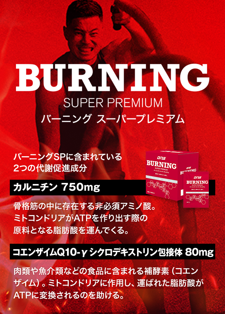 BURNING SUPER PREMIUM バーニング　スーパープレミアム バーニングSPに含まれている2つの代謝促進成分 カルニチン 750mg 骨格筋の中に存在する非必須アミノ酸。ミトコンドリアがATPを作り出す際の原料となる脂肪酸を運んでくる。 コエンザイムQ10-yシクロデキストリン包接体 80mg 肉類や魚介類などの食品に含まれる補酵素（コエンザイム）。ミトコンドリアに作用し、運ばれた脂肪酸がATP変換されるのを助ける。