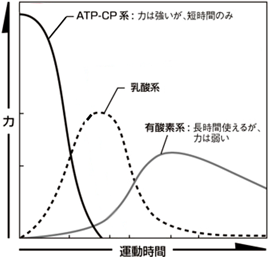 エネルギー系