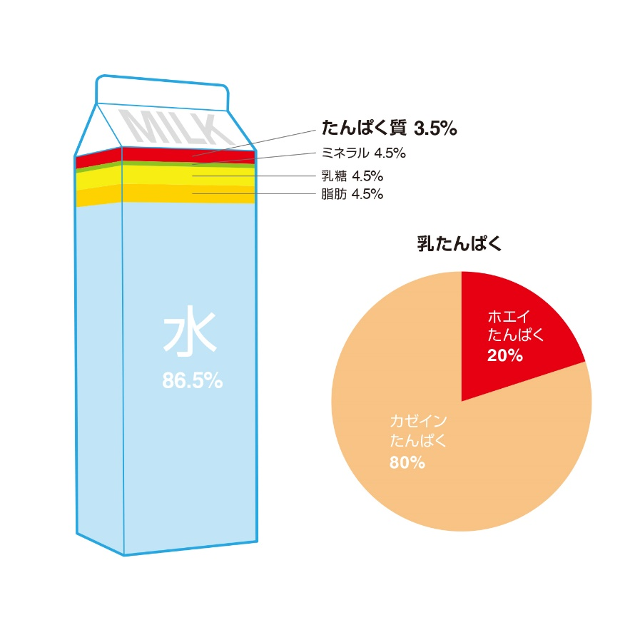 牛乳の成分とホエイプロテイン（ホエイたんぱく）の割合