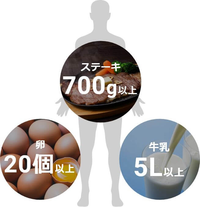80kgの人の必要なタンパク質量　ステーキ700g以上 卵20個以上 牛乳5L以上