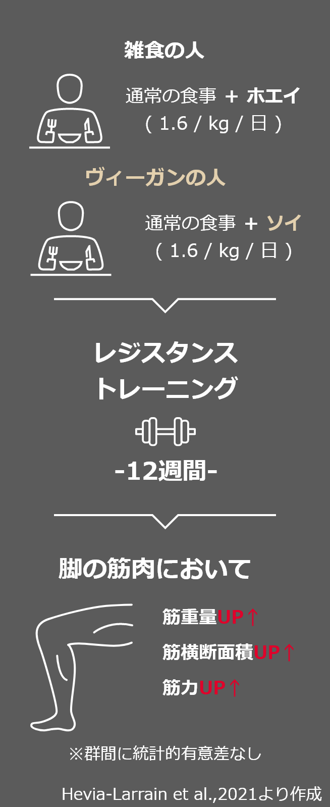 雑食の人 通常の食事 ＋ ホエイ( 1.6 / kg / 日 ) ヴィーガンの人 通常の食事 ＋ ソイ( 1.6 / kg / 日 ) レジスタンス トレーニング 12週間 脚の筋肉において 筋重量UP 筋横断面積UP 筋力UP ※群間に統計的有意差なし Hevia-Larrain et al.,2021より作成